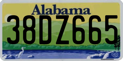 AL license plate 38DZ665