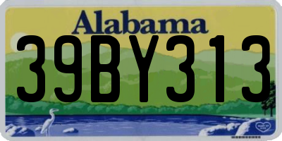 AL license plate 39BY313