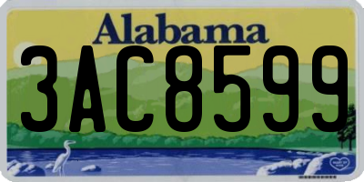 AL license plate 3AC8599