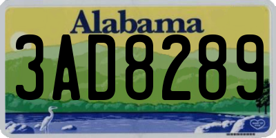 AL license plate 3AD8289