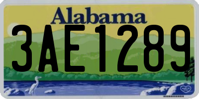 AL license plate 3AE1289