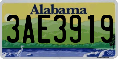 AL license plate 3AE3919