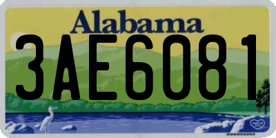 AL license plate 3AE6081
