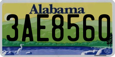 AL license plate 3AE8560