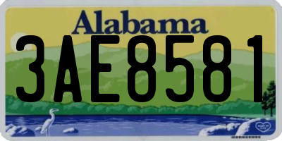 AL license plate 3AE8581