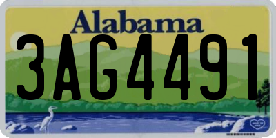 AL license plate 3AG4491