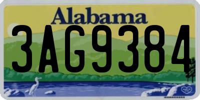 AL license plate 3AG9384