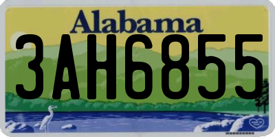 AL license plate 3AH6855