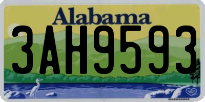 AL license plate 3AH9593
