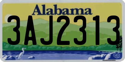 AL license plate 3AJ2313
