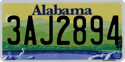 AL license plate 3AJ2894