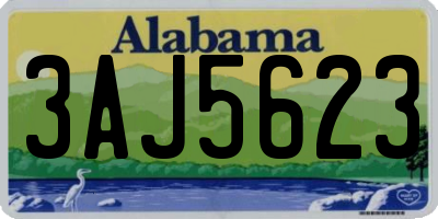 AL license plate 3AJ5623