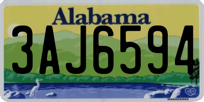 AL license plate 3AJ6594