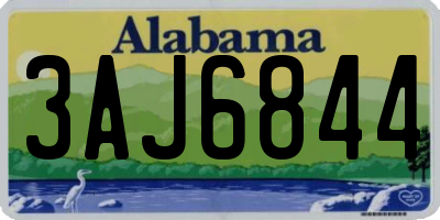 AL license plate 3AJ6844