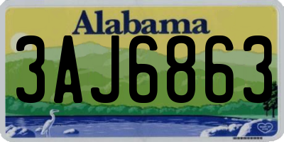 AL license plate 3AJ6863