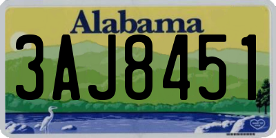 AL license plate 3AJ8451