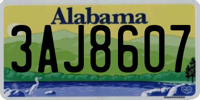 AL license plate 3AJ8607