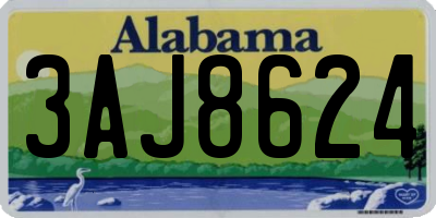 AL license plate 3AJ8624