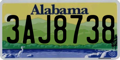 AL license plate 3AJ8738