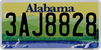 AL license plate 3AJ8828
