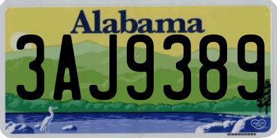 AL license plate 3AJ9389
