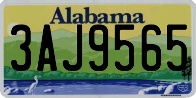 AL license plate 3AJ9565