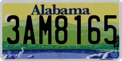 AL license plate 3AM8165