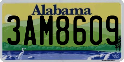 AL license plate 3AM8609