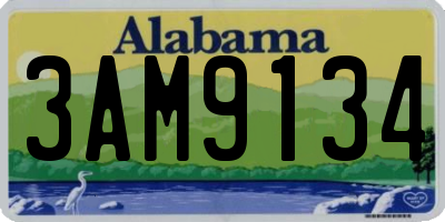 AL license plate 3AM9134
