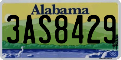 AL license plate 3AS8429
