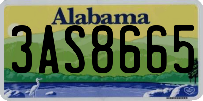 AL license plate 3AS8665