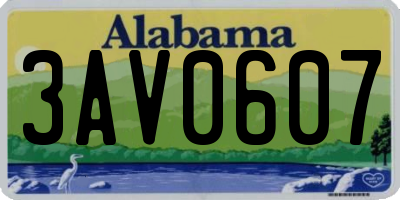 AL license plate 3AV0607