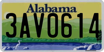 AL license plate 3AV0614