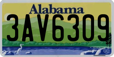 AL license plate 3AV6309