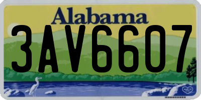 AL license plate 3AV6607