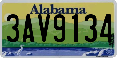 AL license plate 3AV9134