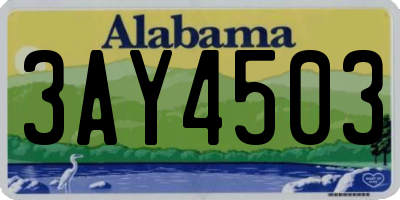 AL license plate 3AY4503