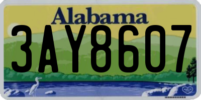 AL license plate 3AY8607