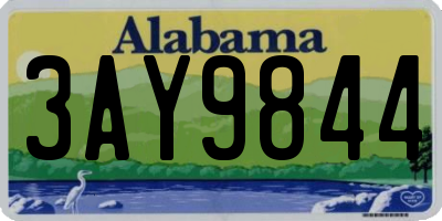 AL license plate 3AY9844
