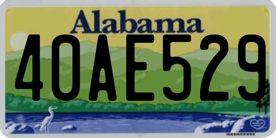 AL license plate 40AE529