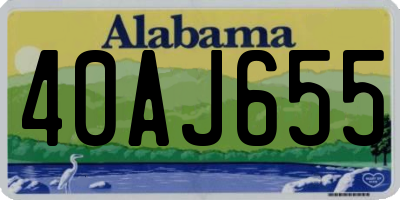 AL license plate 40AJ655