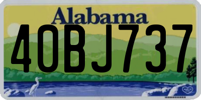 AL license plate 40BJ737