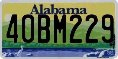 AL license plate 40BM229