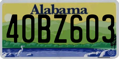 AL license plate 40BZ603
