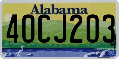 AL license plate 40CJ203