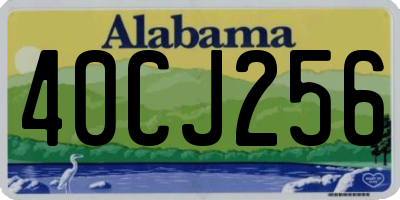 AL license plate 40CJ256