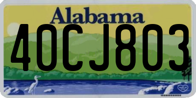 AL license plate 40CJ803