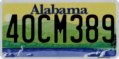 AL license plate 40CM389