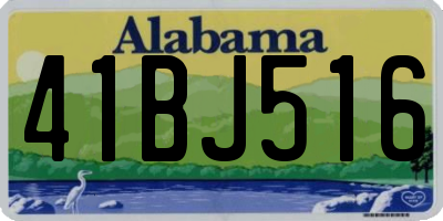 AL license plate 41BJ516