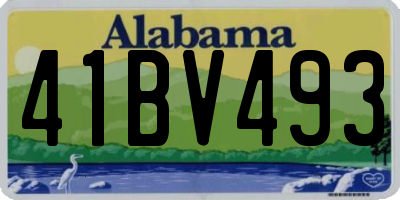 AL license plate 41BV493